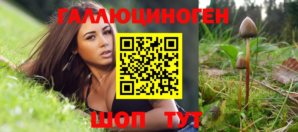 Богородицк  Галлюциногенные грибы Psilocybine cubensis  Вход с VPN 
